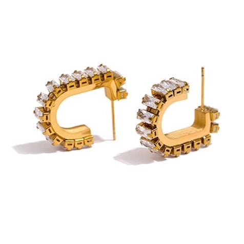 Eves Zirconia Earrings